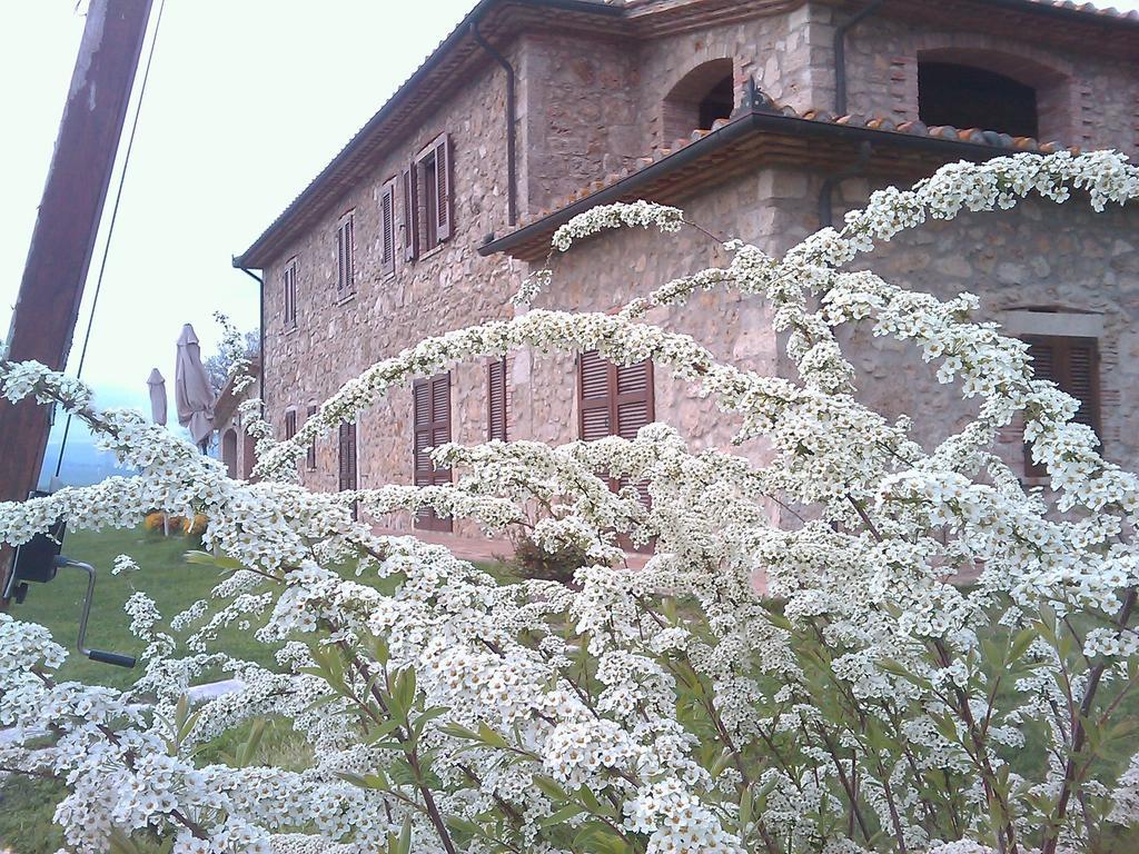 Agriturismo Il Poggiolo Montemerano Luaran gambar